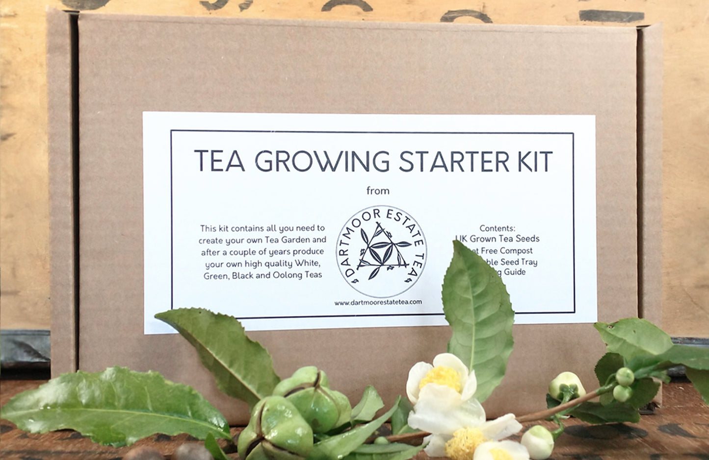 Tea Growing Starter Kit by Dartmoor Estate Tea 🇬🇧